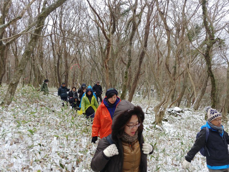 4.3당시 무장대가 걸었을 숲길을 걸었습니다.