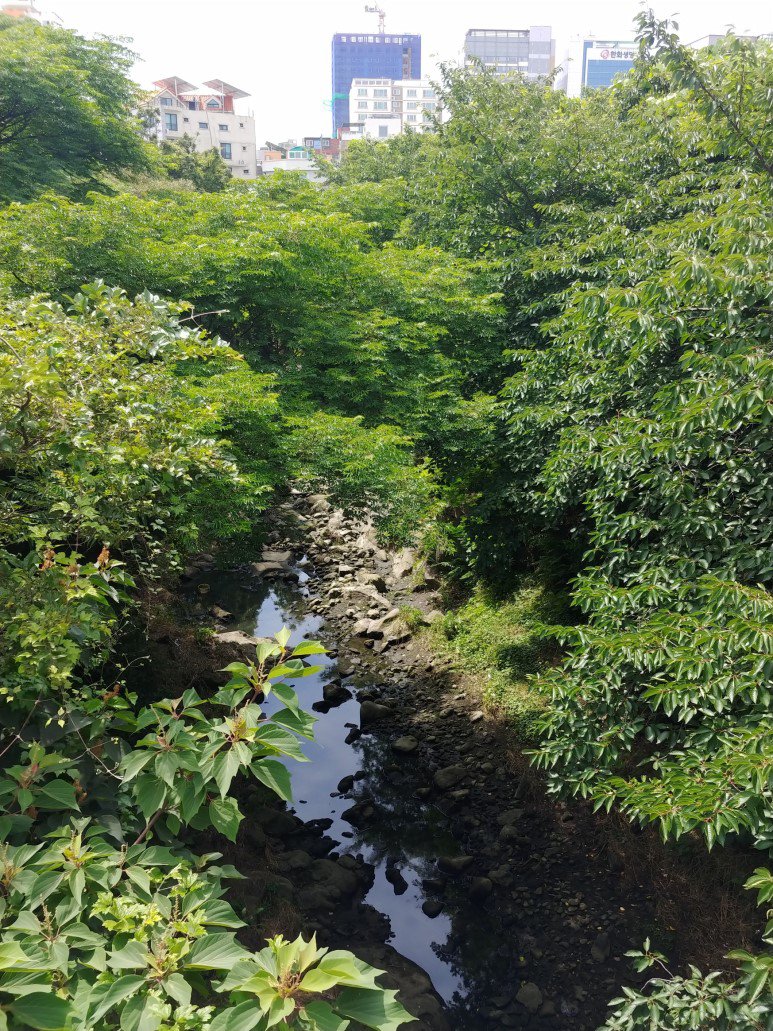 옛 산지천 다리 위에서 내려다본 모습. 산지천 다리를 건너 70년 전의 시간과 공간 속으로 들어갑니다