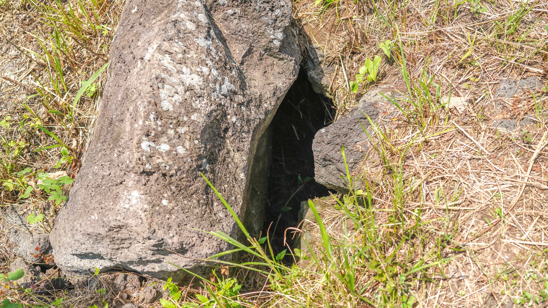 제주4·3유적지 다랑쉬굴 현장 모습. 굴 입구가 돌로 막혀있다.