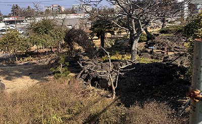 260212_동보서당터_카페정원과 마트가 보인다. (2026.02.12. 촬영)