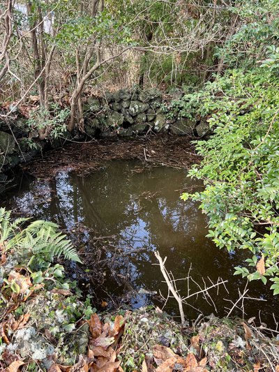 Jongnam Village  Well