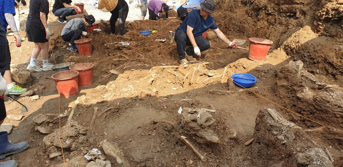 2022.06.25. 대전광역시 산내골령골 한국전쟁 민간인학살 유해발굴 현장, 제주다크투어 제공