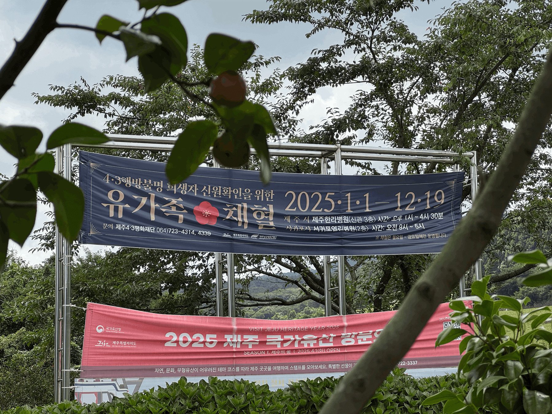 2025.08.28. 제주4·3평화공원 현수막. 청년지도력 소통과대안 제공.