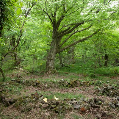 이덕구 산전 사진