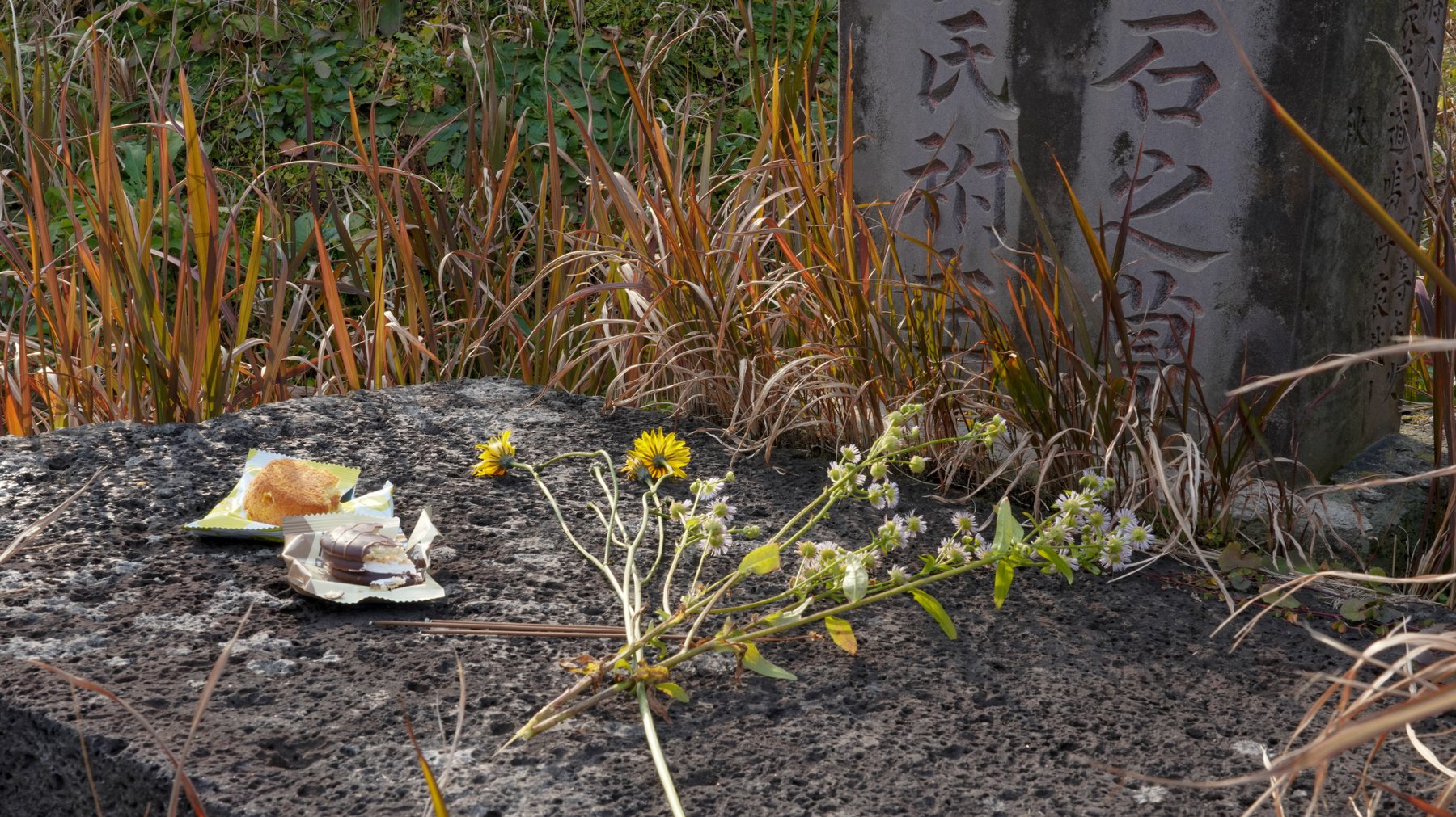 남매상봉기념비 제단 위에 준비해 가져간 술과 음식을 올리고, 들꽃을 꺾어다 올렸습니다.