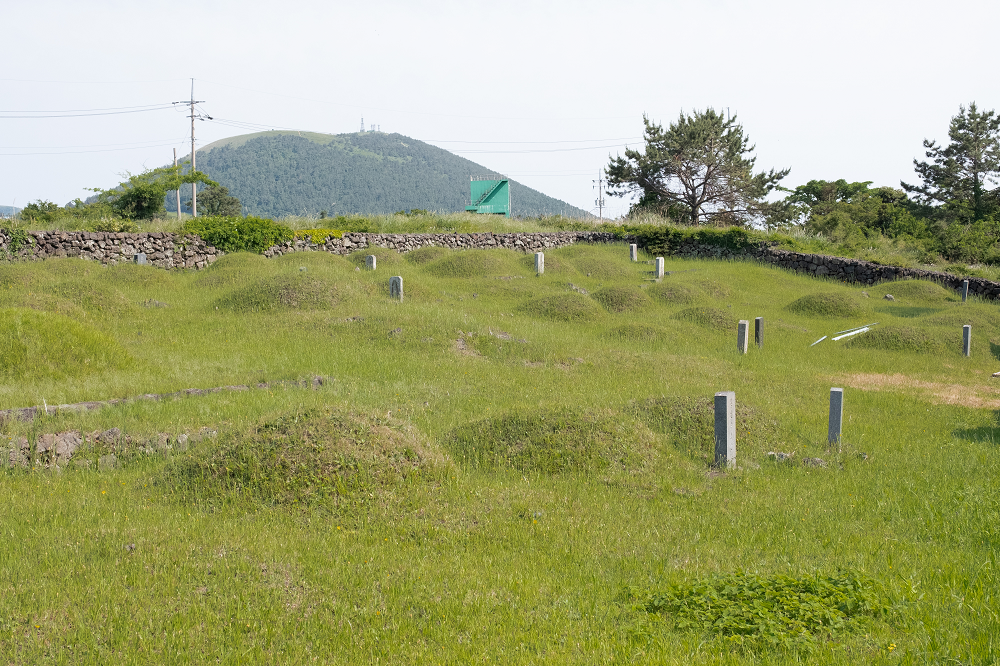 만벵듸 공동장지 모습.