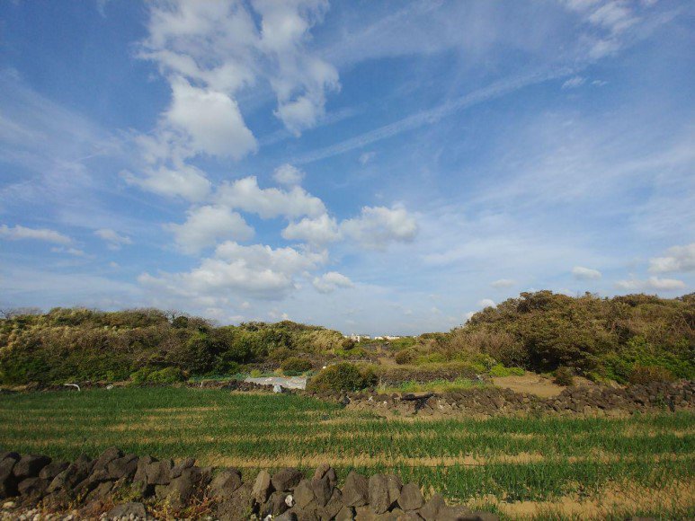 북촌리 제주4·3길 ©제주다크투어