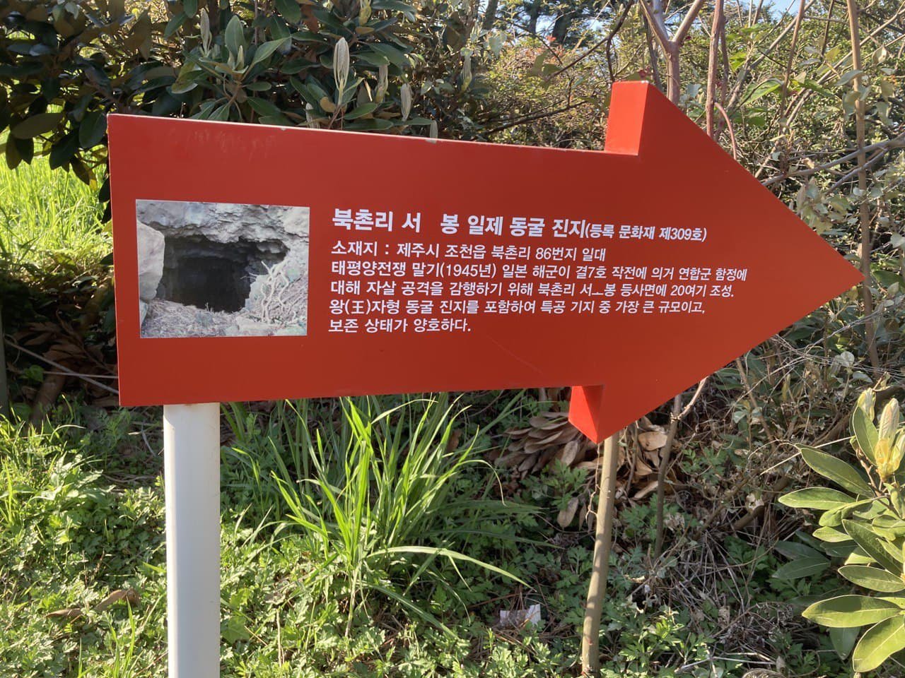 서우봉 일제진지동굴 안내판. '우'자가 떨어진 안내판(2021년 4월 5일 촬영)이 여전히 그대로였습니다. 안내판 내용에도 '우' 자가 훼손되어 있어요.