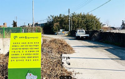 새가름 안내판과 대나무숲 (2026.02.12. 촬영)